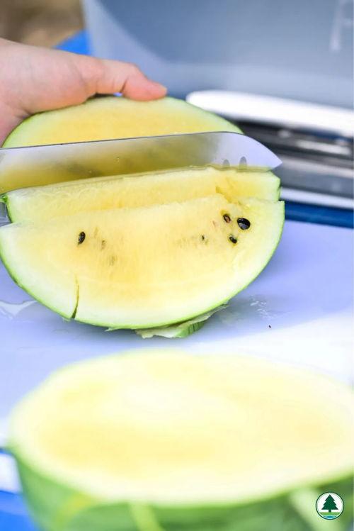 临沂本周最新吃瓜,新鲜爆料一网打尽！