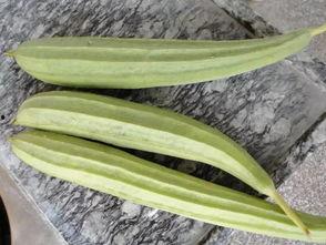 农民吃瓜教程,简单教程，享受夏日清凉