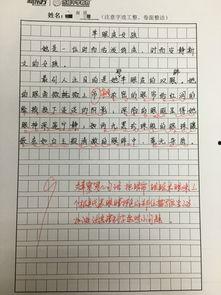 深度吃瓜小作文,吃瓜群众的趣味小作文