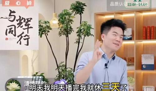 董董偷瓜吃,一场童趣盎然的夏日冒险