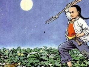 梦见自己偷瓜吃瓜,偷瓜吃瓜的奇幻之旅
