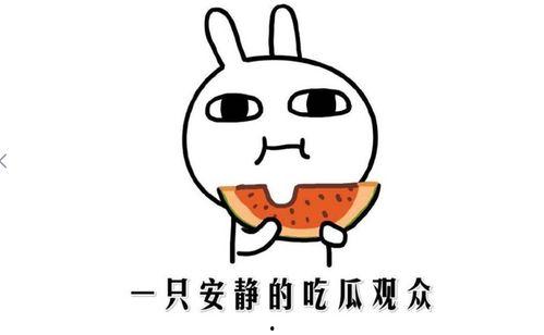 热门 吃瓜 事件,真相与舆论的碰撞