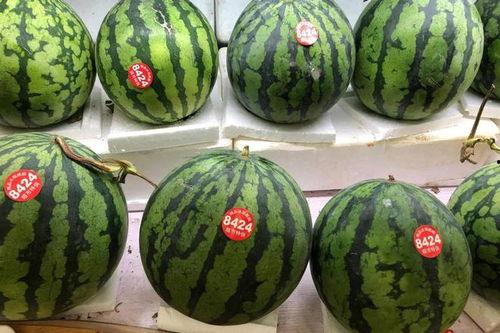 吃瓜发疯才能活,揭秘网络时代的生存法则