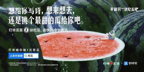 说别人吃瓜的文案,揭秘网络热议背后的吃瓜文化