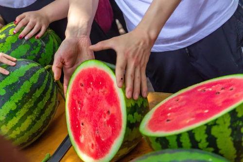 山东济南大学吃瓜,揭秘校园生活趣味瞬间