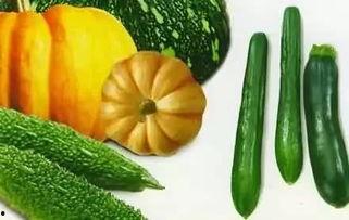 吃瓜微信最新,吃瓜群众热议不断，真相究竟如何？