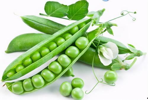 感冒可以吃毛豆哈密瓜吗,感冒期间适宜食用的毛豆哈密瓜搭配指南