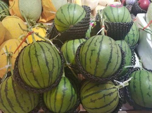 王真吃瓜,揭秘娱乐圈幕后故事