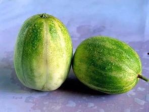 吃啥瓜可以减肥,轻松享瘦的秘密法则