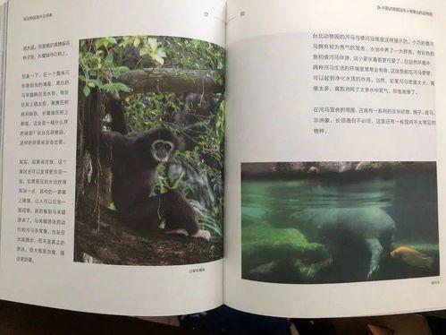 有哪些吃瓜博主推荐的书,跟随吃瓜博主推荐的书籍探索知识海洋