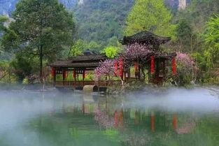 桃花源吃瓜资源QQ群,揭秘神秘社交圈背后的故事