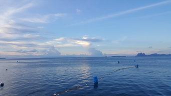 仙本那吃瓜,热带天堂里的吃瓜盛事