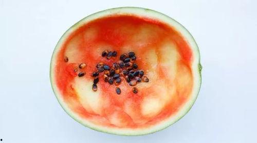 汝州吃瓜事件真相,揭秘背后真相与争议