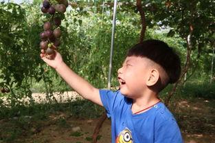 宝妈吃瓜聊天,吃瓜聊天，揭秘育儿那些事儿